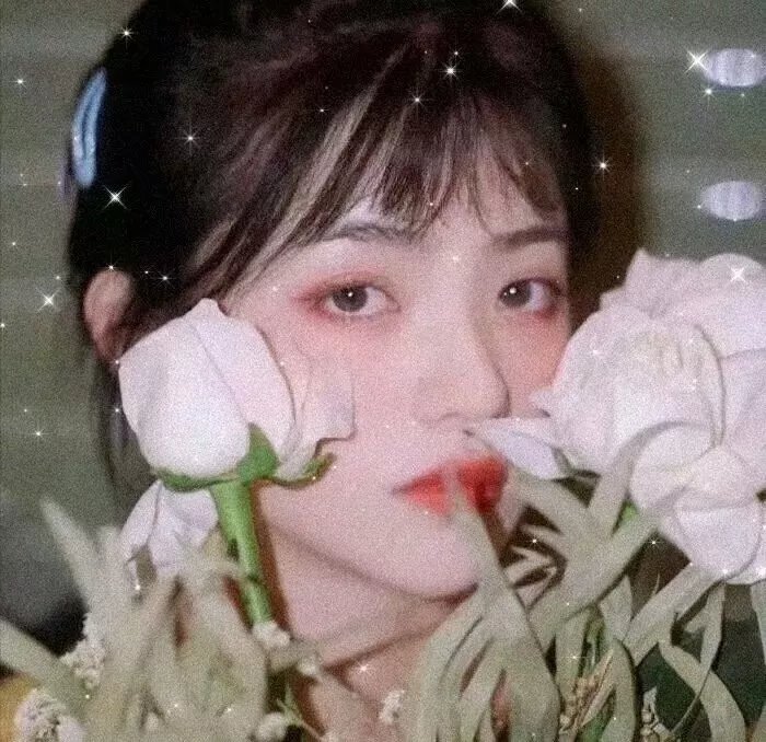 慈膳救援